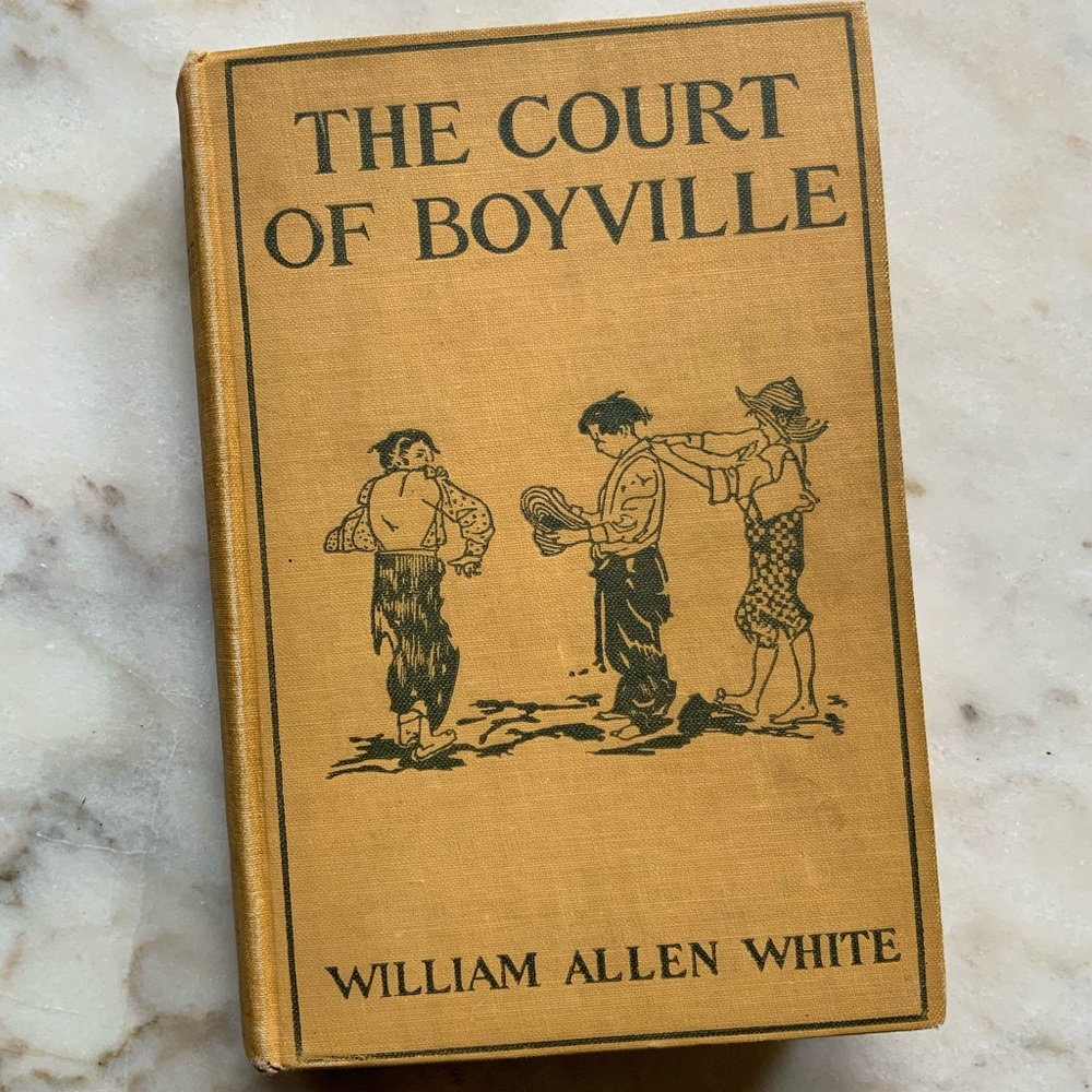 The Court of Boyville Book